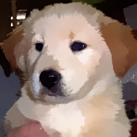 MeanShift stylized photo